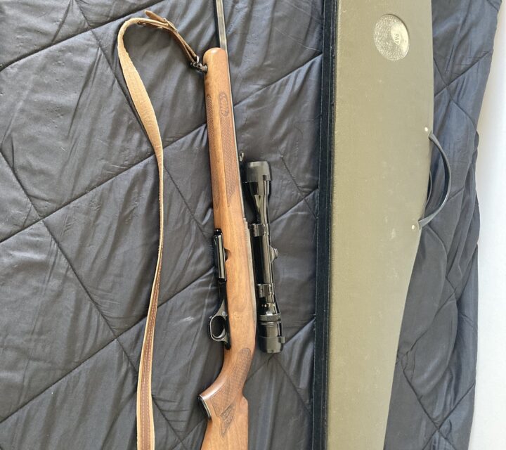 Carabine 308 Winchester