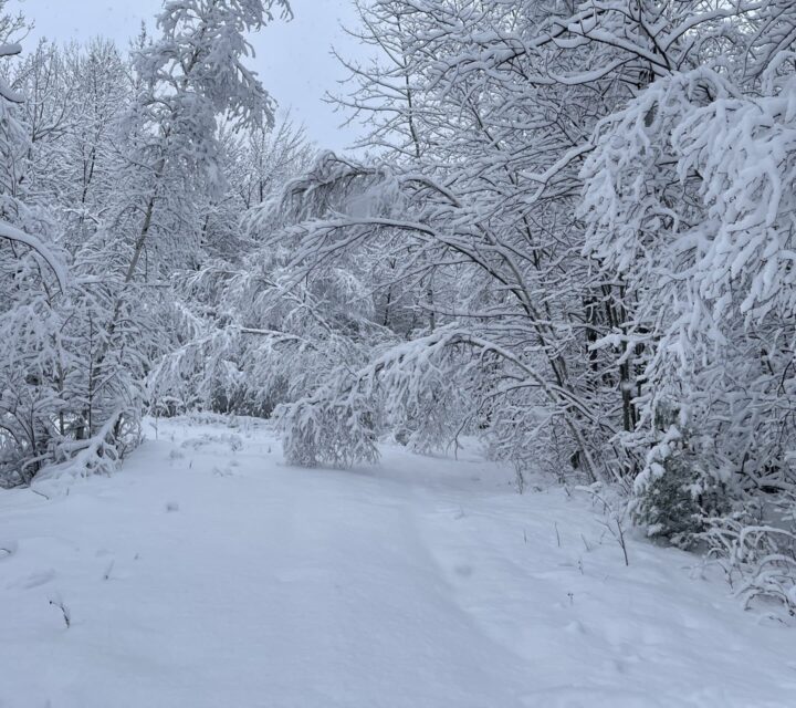 Va super bien moteur 4t très bon 137