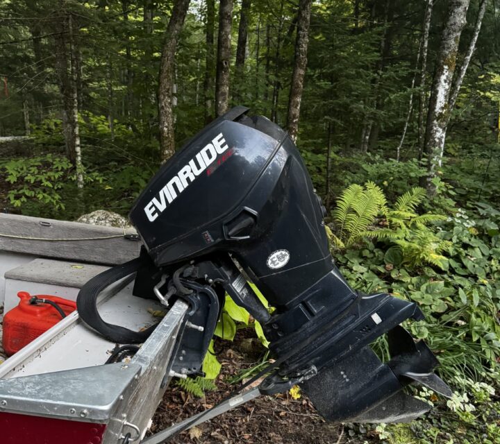 très propre et presque pas utilisé . Année 2008 du bateau et remorque Princecraft.