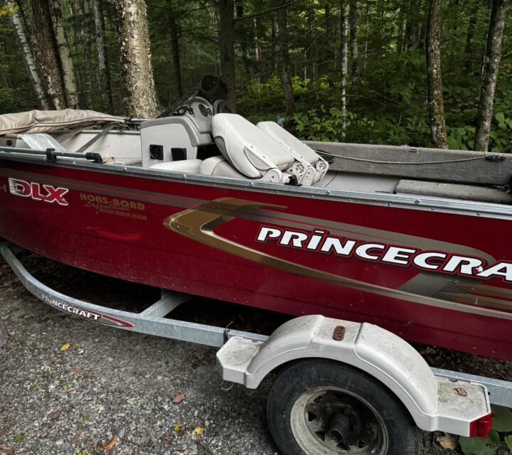 Beateau de pêche Princecraft avec 40 hp evenrude E-Tech BRP . Toit Binini neuf installé lan passé. Ancre électrique