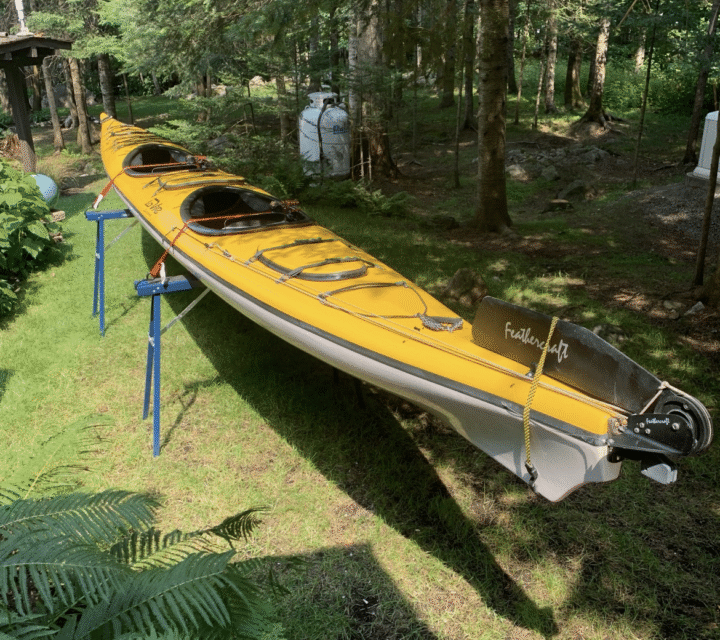 Poids: 99 lbs (45 k)