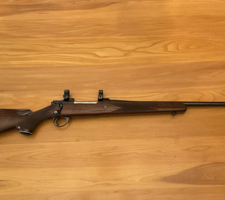 Carabine SAKO FINNBEAR