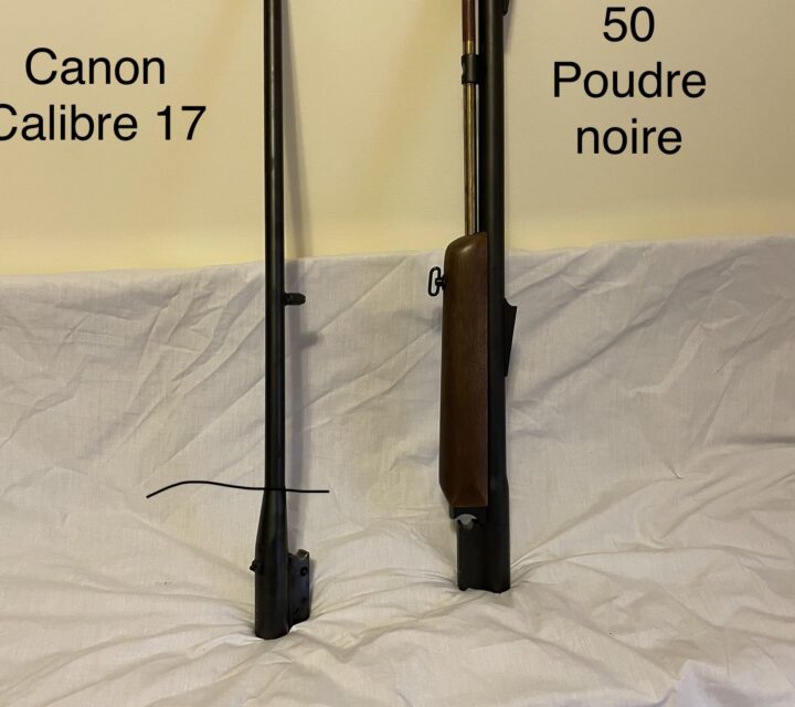 Canons interchangeables calibres 17 et calibre 50 ( poudre noire).