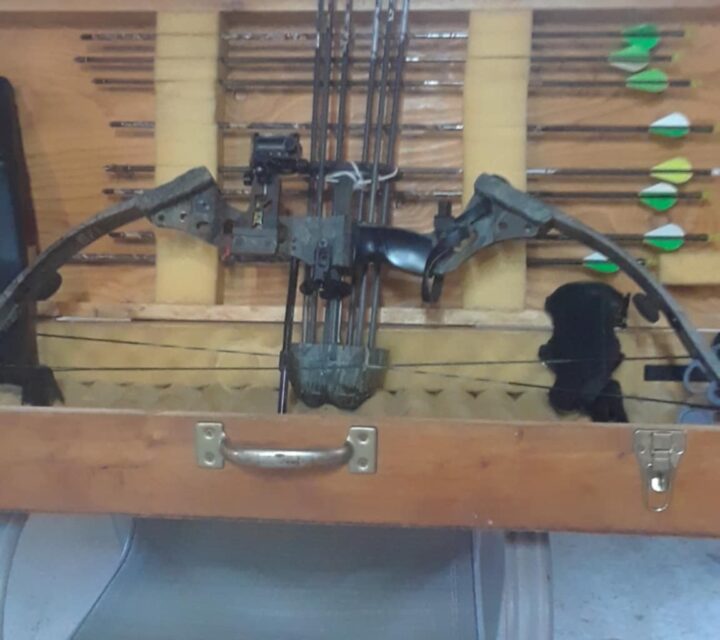 Arc champion comme neuve tout équiper tune-up fait recemment avec plus dune 15zaines de flèche