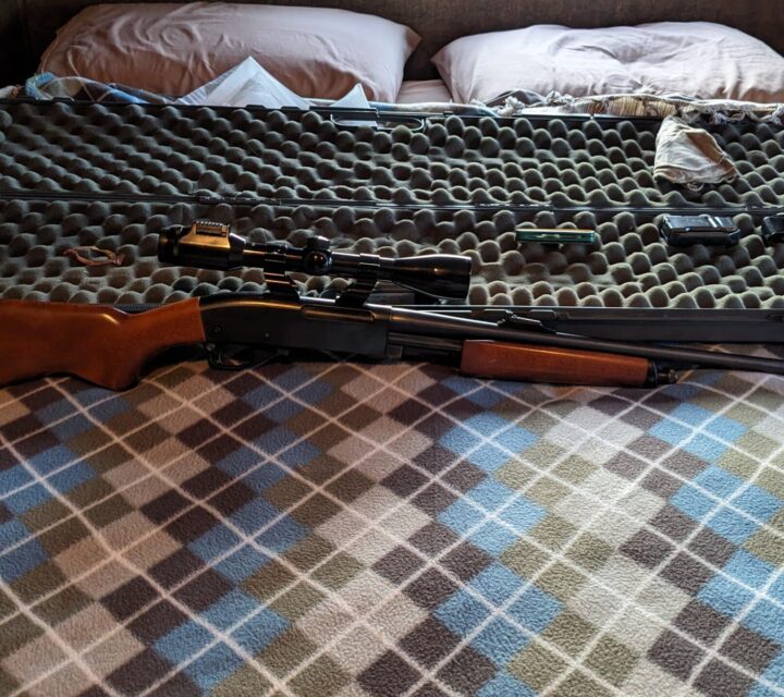 Carabine Remington 3006 avec télescope Bushnell light site avec étuit rigide $ 800 discutable