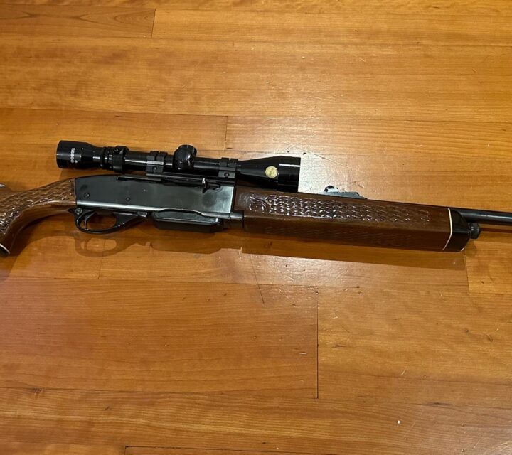 Remington Woodmaster modèle 742