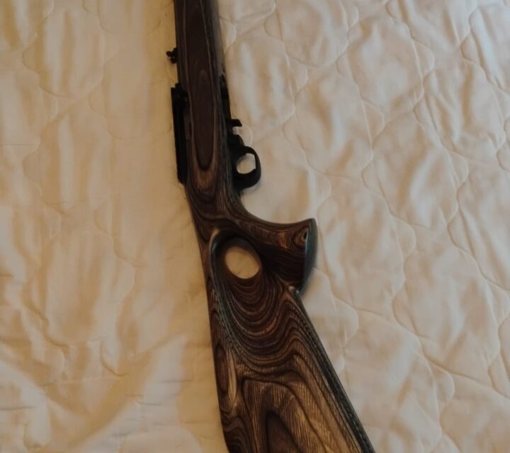 Carabine semiautomatique Ruger en calibre .22