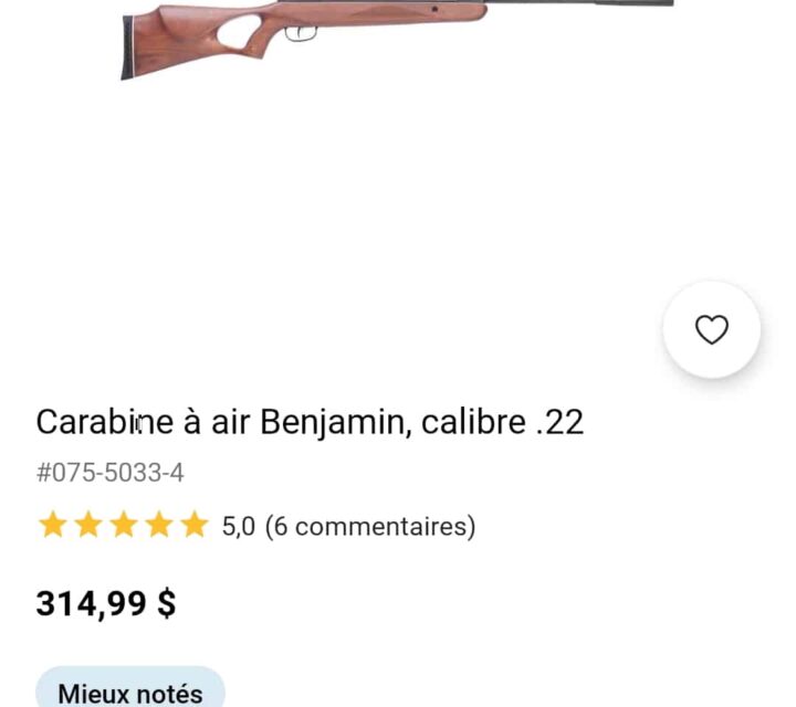 Carabine à air comprimé Benjamin