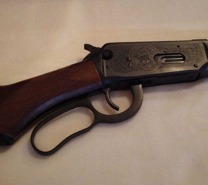 vient avec étui original