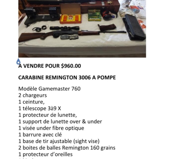 CARABINE REMINGTON 3006 A POMPE