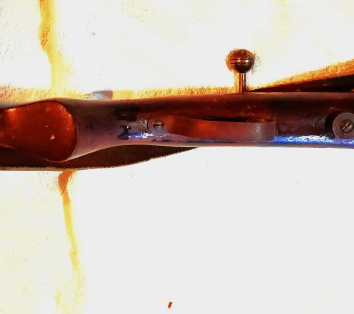 enregistré SIAF (résident du Québec seulement) Prix 200$ + expédition.