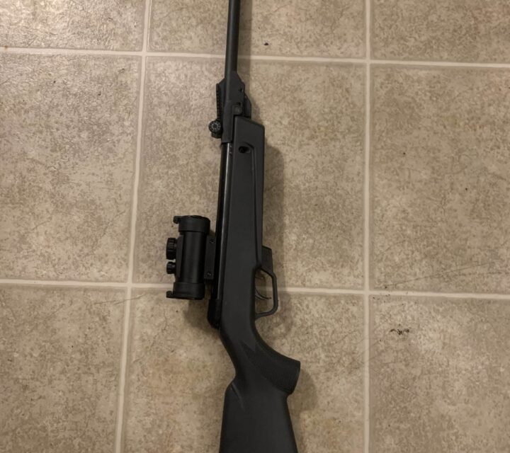 Carabine à plomb 495 pi seg . Cadet delta avec red Green point presque pas utilisé