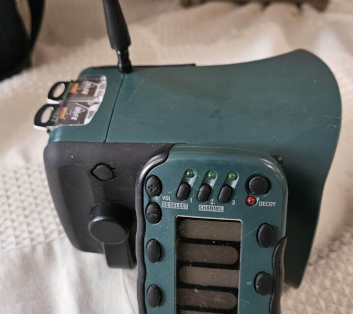 Call.electronique pantomime