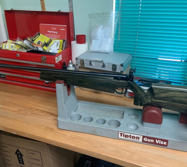 Carabine de précision de marque Marlin model 2000L. Belle crosse laminée ajustable en longueur. Très sécuritaire puisqu'il faut chargé 1 cartouche à la fois. elle est très précise. Elle vient avec plusieurs model de mire pour l'illeton avant. Elle a très peu tiré et est en excellente condition. vous devez avoir votre PPA valide.