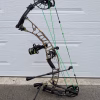 Ensemble Arc Hoyt Ventum Pro 33 Signature Series – Bone Collector