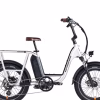 Vélo électrique Rad Power Bikes RadRunner Plus