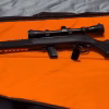 Carabine 22 lr semi auto