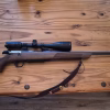 Browning A Bolt 300win mag