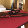 Browning semi-auto 30-06