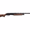 Winchester sxp calibre 20 a pompe
