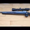 Savage Model 116 270win