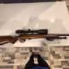 .22lr
