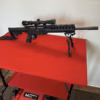 Carabine Ruger SR 22