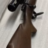 308 winchester