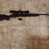 Ruger American rimfire 22 mag