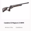 Carabine à vendre