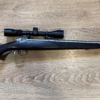 Gauchère Savage model 116 270 win