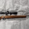 Mossberg 4×4 cal 22-250 stainless et scoop