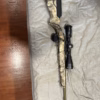 Ruger 10/22