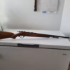 carabine 22 a répétition  coey model 600