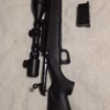 Carabine 300 win mag