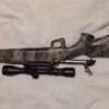 Carabine 270 win