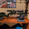 Ruger 10/22