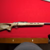 Savage 93r17 17hmr