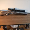 Savage 93r17 HMR