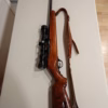 Carabine Mossberg 22LR