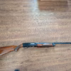 Fusil calibre 12 pompeux