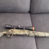 Chasse
