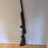 Carabine 22 lr gaucher