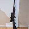 Carabine savage 64 semi automatique