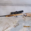 CARABINES 22 S,L,LR À VENDRE