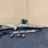 22 LR semi-automatique