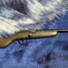 22 cooey ace 1