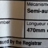 fusil semi-automatique  Remington calibre