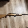 2 armes , .22 semi lakefield et .410 un coup cooey 84