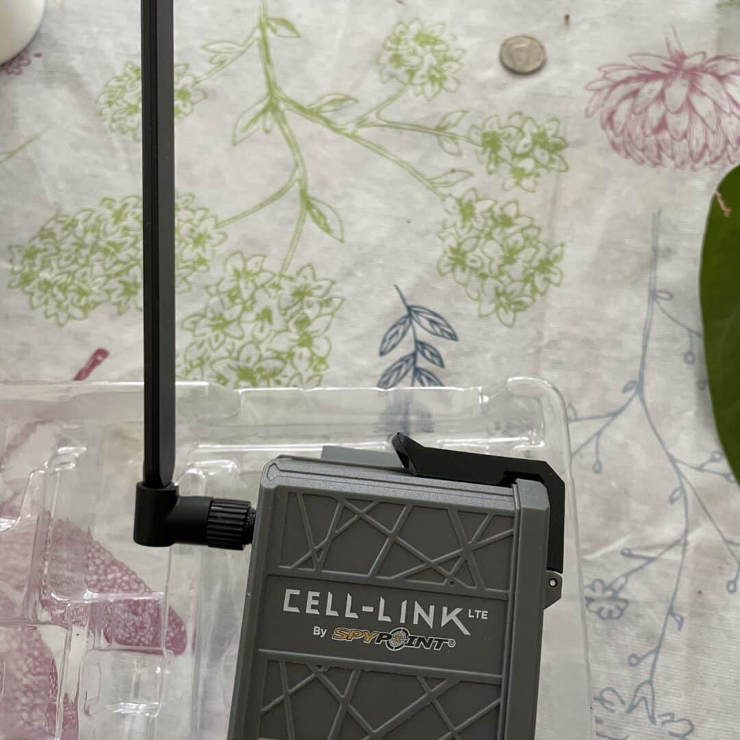 Cell link et antenne